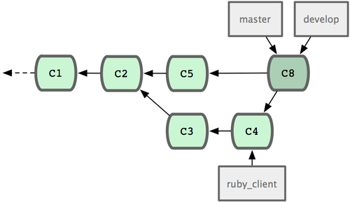 图 5-23. 特性分支发布后